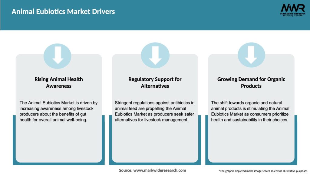 Animal Eubiotics Market Drivers