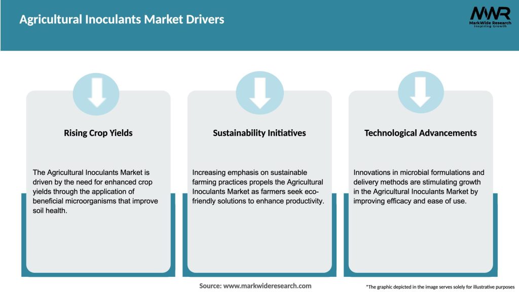 Agricultural Inoculants Market Drivers
