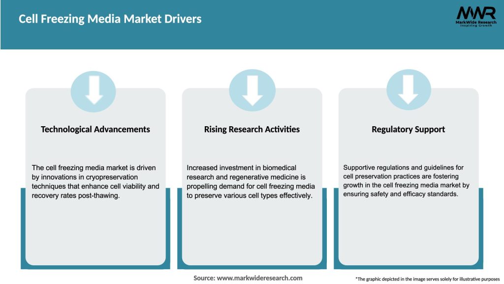 Cell Freezing Media Market Drivers
