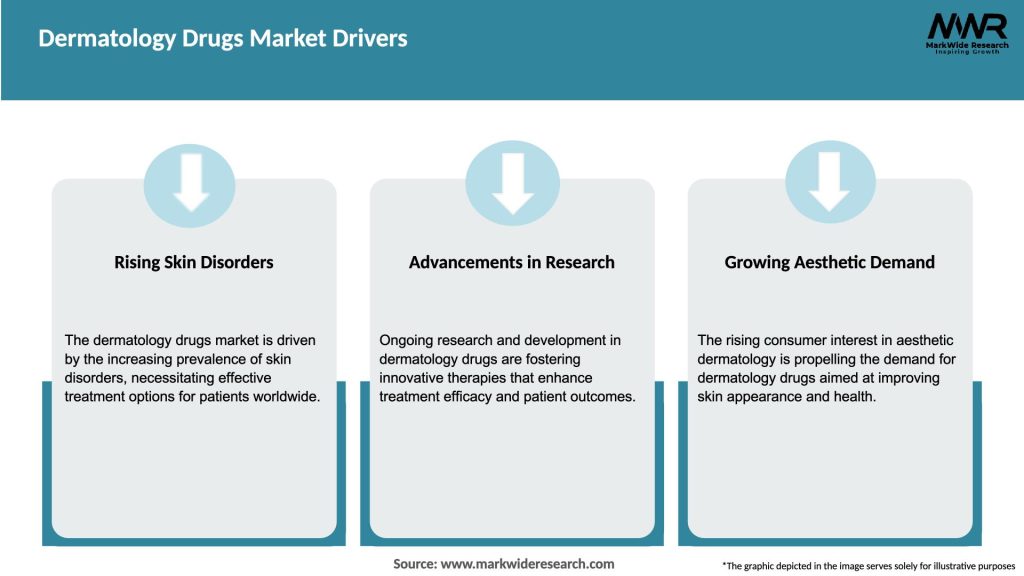 Dermatology Drugs Market Drivers