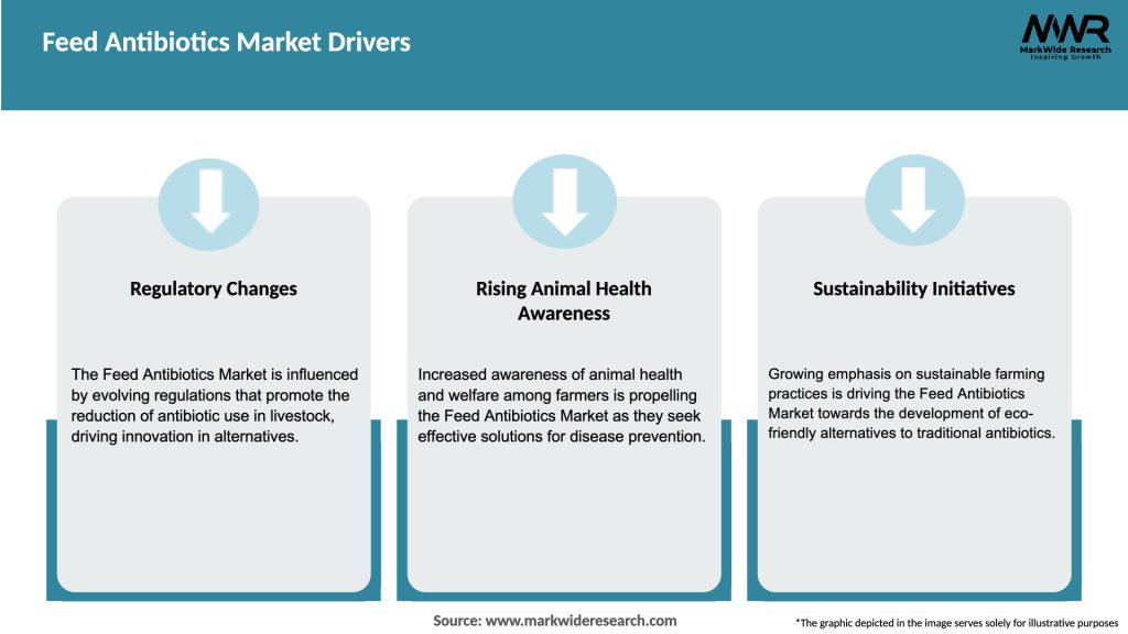 Feed Antibiotics Market Drivers