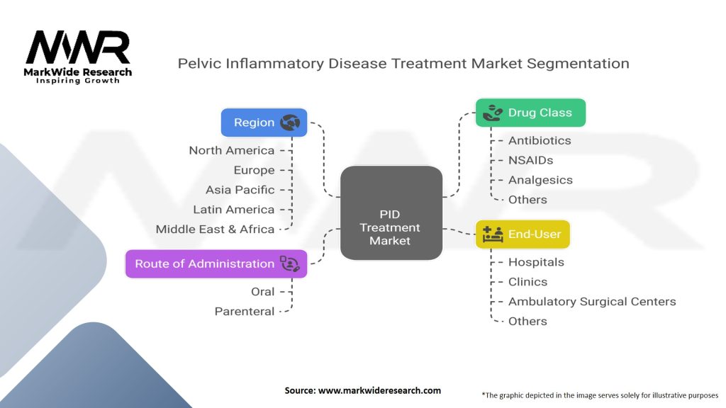 Pelvic Inflammatory Disease (PID) Treatment Market Segmentation