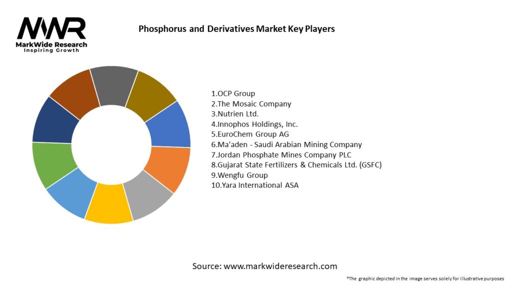 Phosphorus and Derivatives Market Key Players