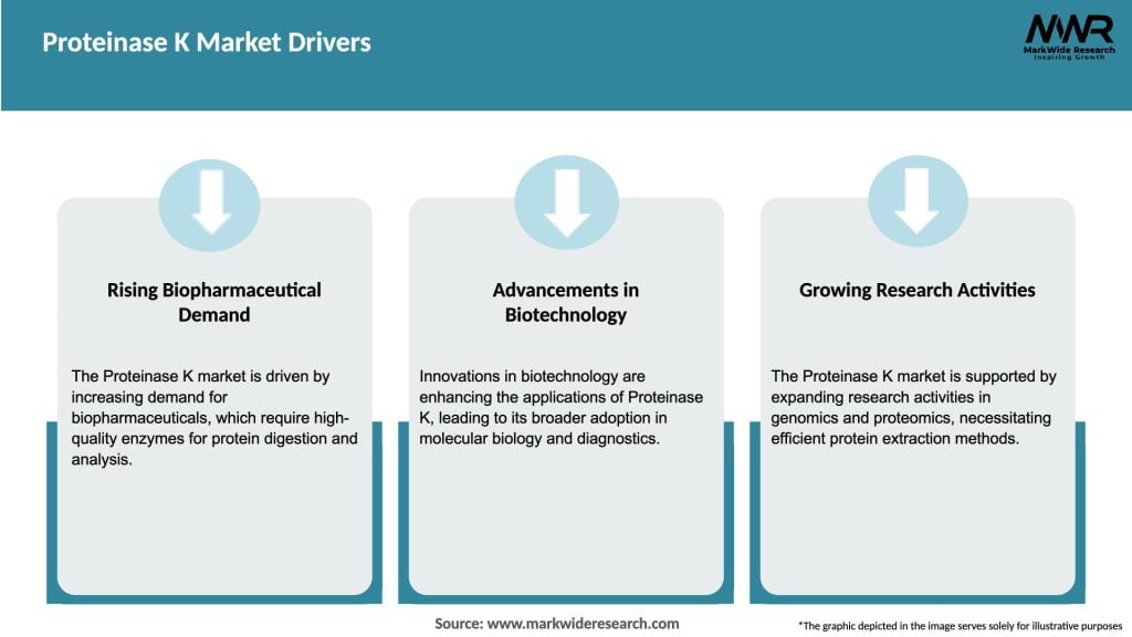 Proteinase K Market Drivers