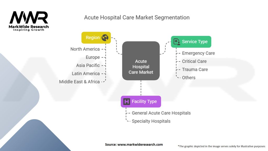 Acute Hospital Care Market Segmentation