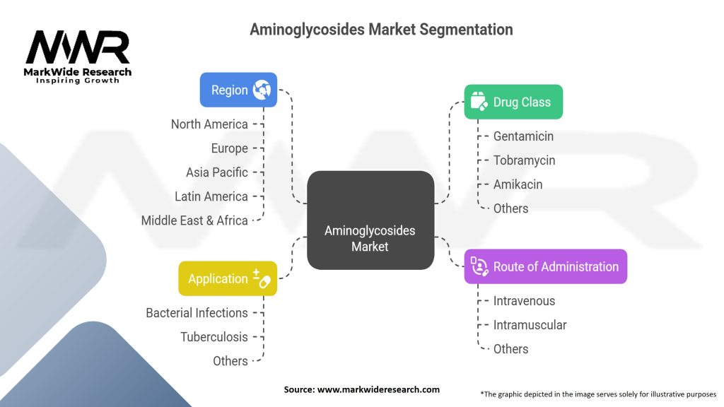 Aminoglycosides Market Segmentation