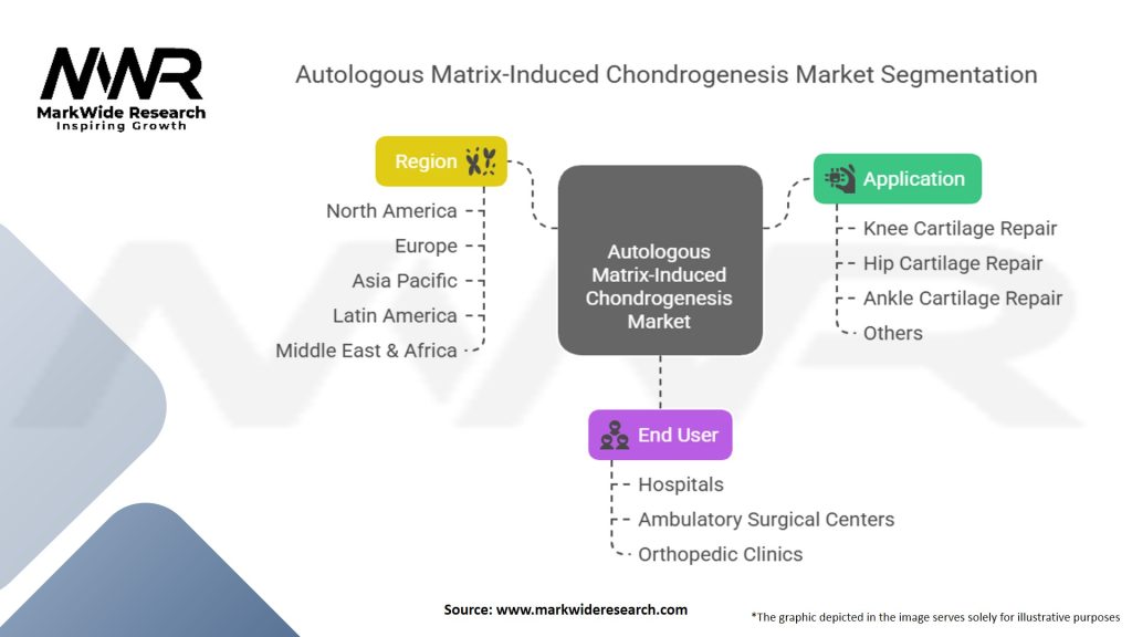 Autologous Matrix induced Chondrogenesis Market Segmentation