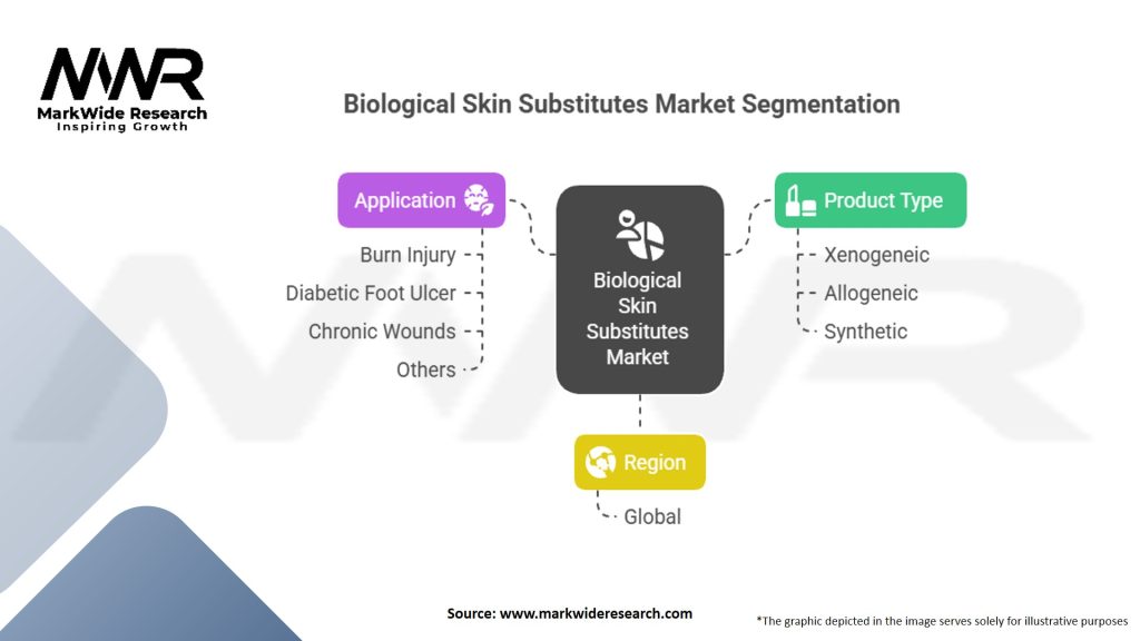Biological Skin Substitutes Market Segmentation