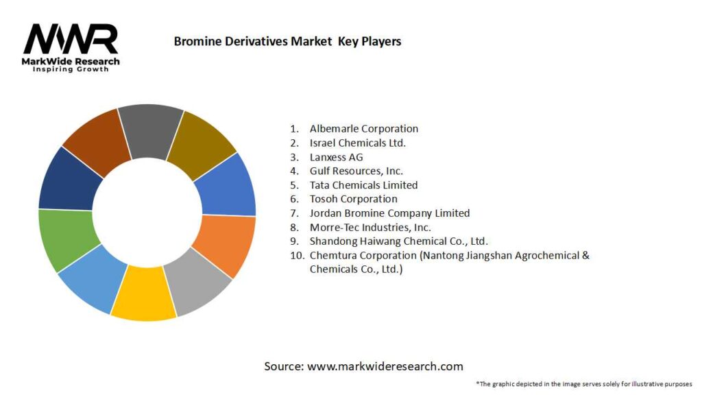 Bromine Derivatives Market Key Players