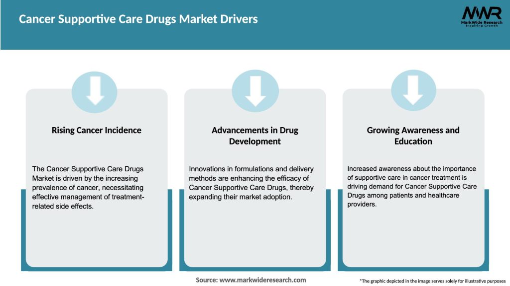 Cancer Supportive Care Drugs Market Drivers