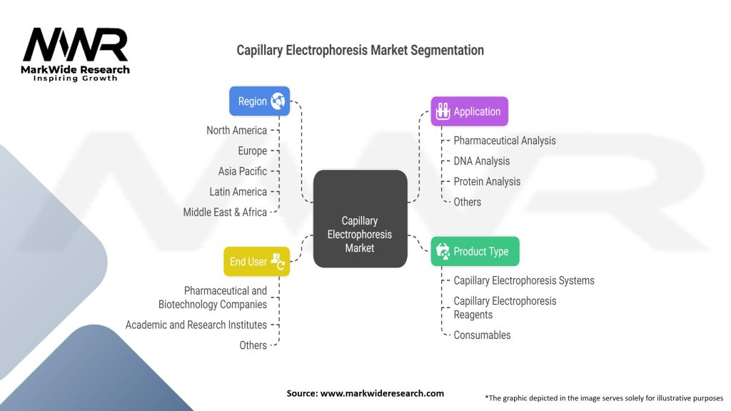 Capillary Electrophoresis Market Segmentation