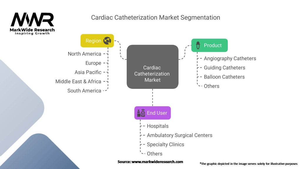 Cardiac Catheterization Market Segmentation