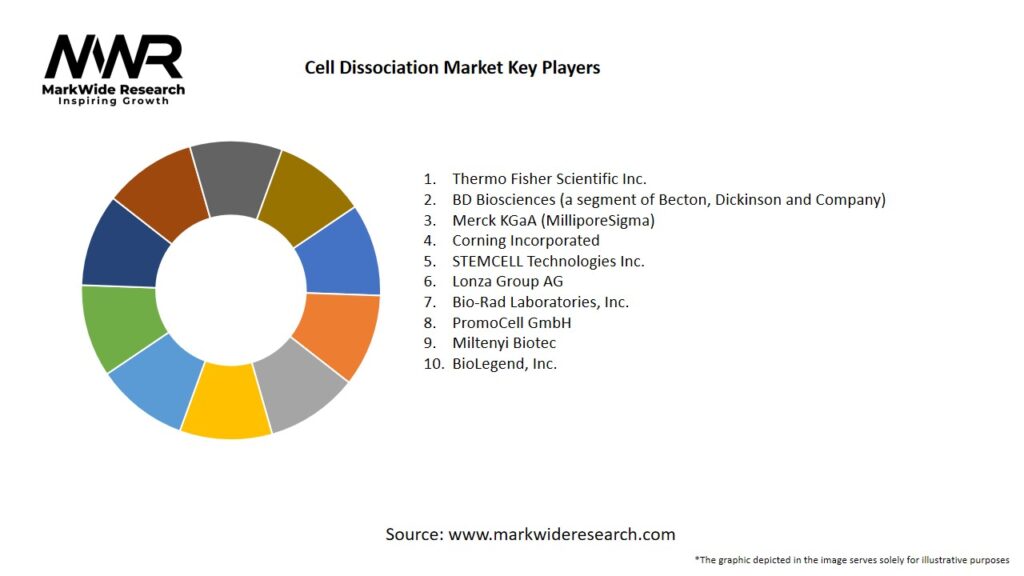 Cell Dissociation Market Key Players