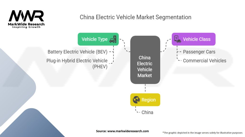 China Electric Vehicle Market Segmentation