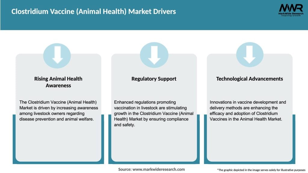 Clostridium Vaccine (Animal Health) Market Drivers