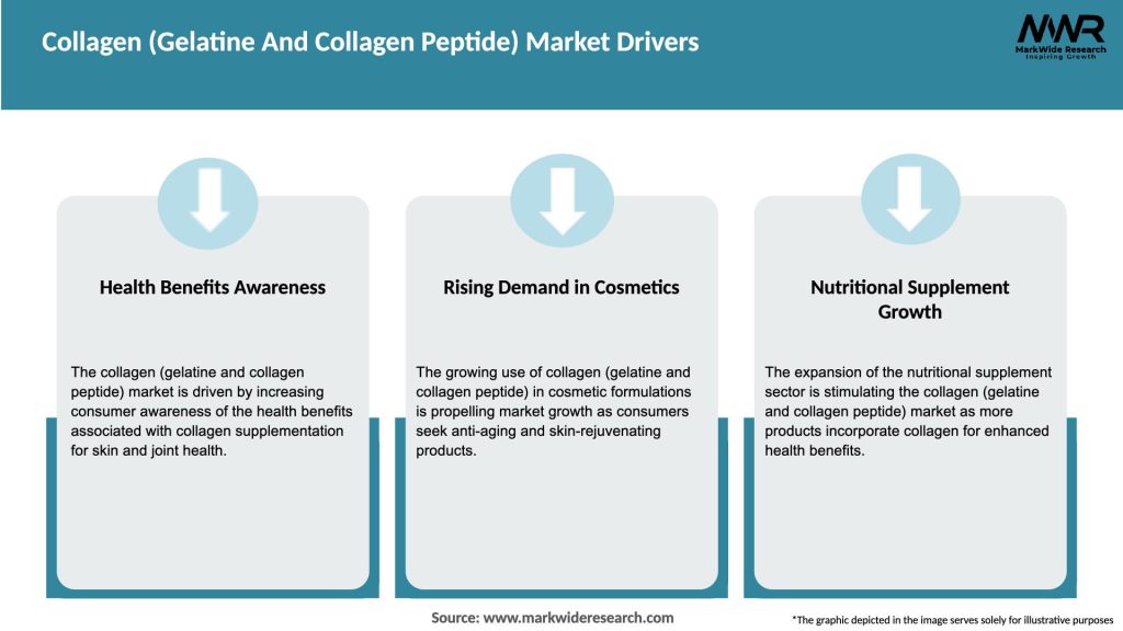 Collagen (Gelatine And Collagen Peptide) Market Drivers