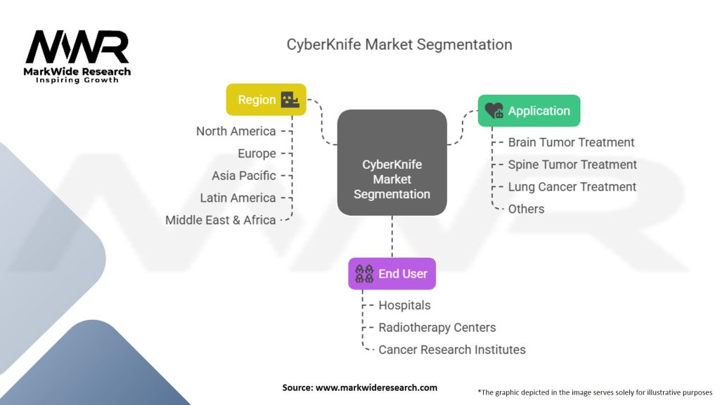 CyberKnife Market Segmentation