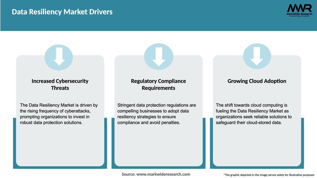 Data Resiliency Market Drivers
