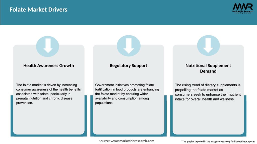 Folate Market Drivers