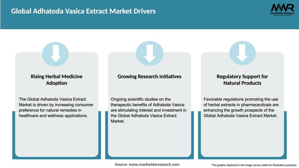 Global Adhatoda Vasica Extract Market Drivers