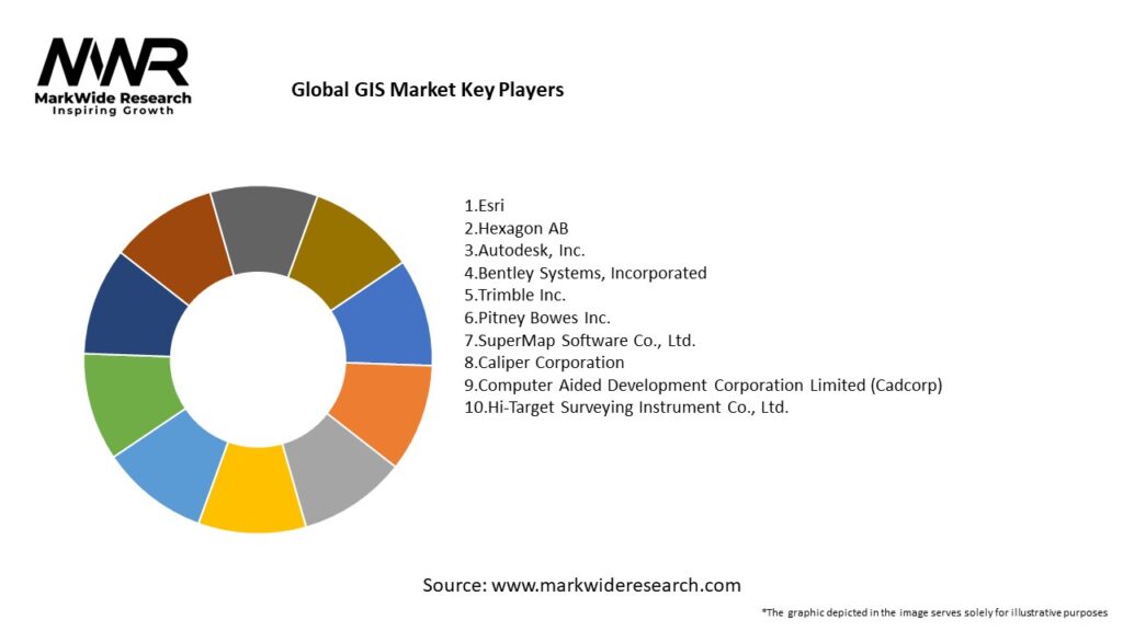 Global GIS Market Key Players