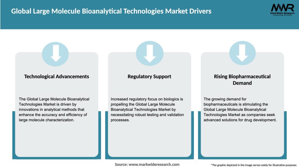 Global Large Molecule Bioanalytical Technologies Market Drivers