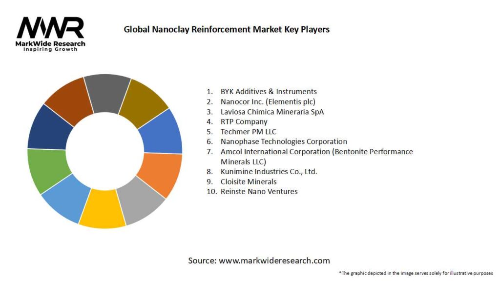 Global Nanoclay Reinforcement Market Key Players
