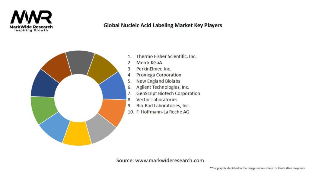 Global Nucleic Acid Labeling Market