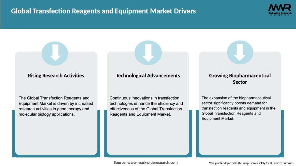 Global Transfection Reagents and Equipment Market Drivers