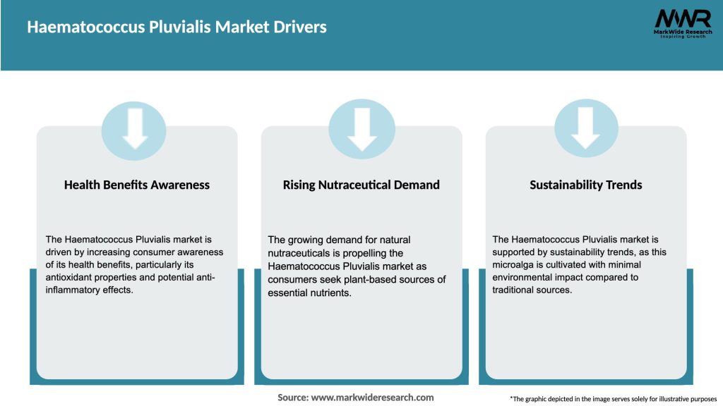 Haematococcus Pluvialis Market Drivers