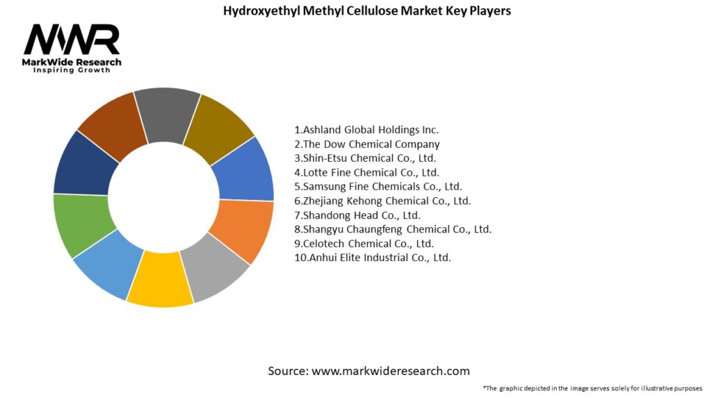 Hydroxyethyl Methyl Cellulose Market Key Players