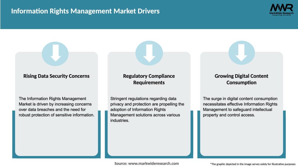 Information Rights Management Market Drivers