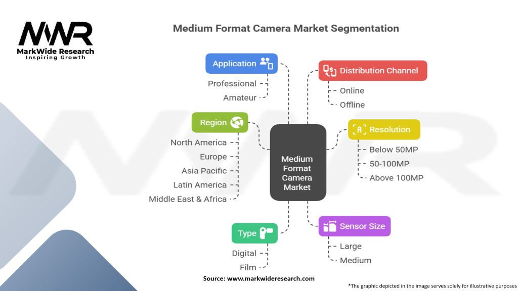 Medium Format Camera Market Segmentation