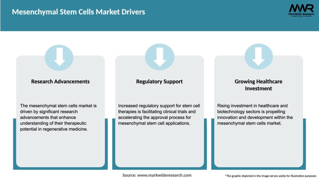 Mesenchymal Stem Cells Market Drivers