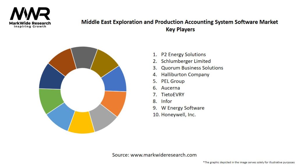 Middle East Exploration and Production Accounting System Software Market Key Players