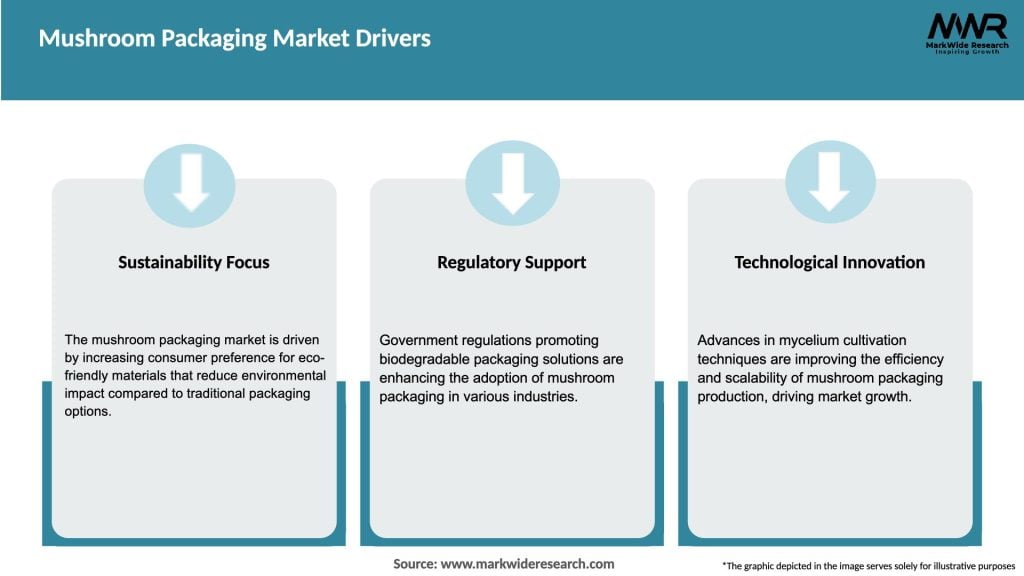Mushroom Packaging Market Drivers