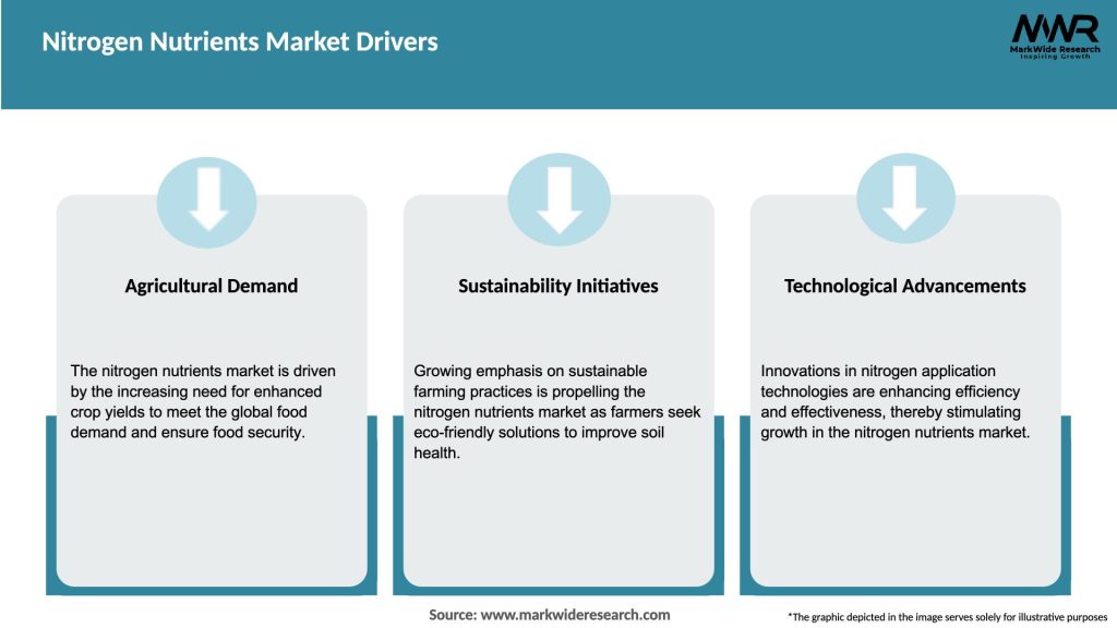 Nitrogen Nutrients Market Drivers