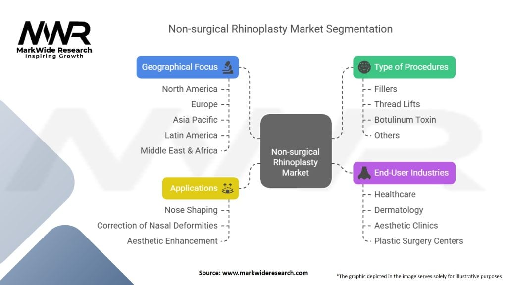 Non-surgical Rhinoplasty Market Segmentation