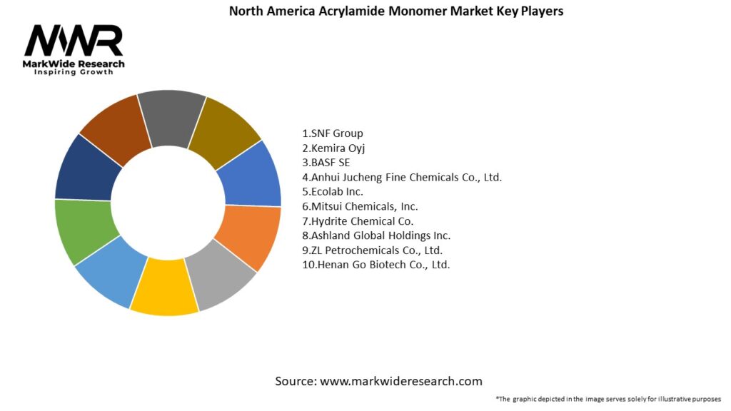 North America Acrylamide Monomer Market Key Players