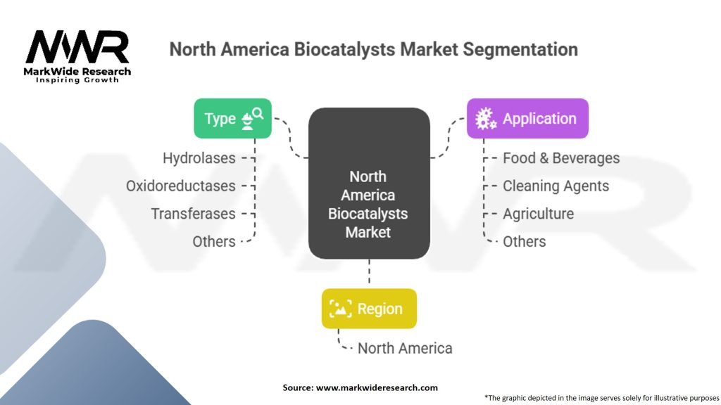 North America Biocatalysts Market Segmentation