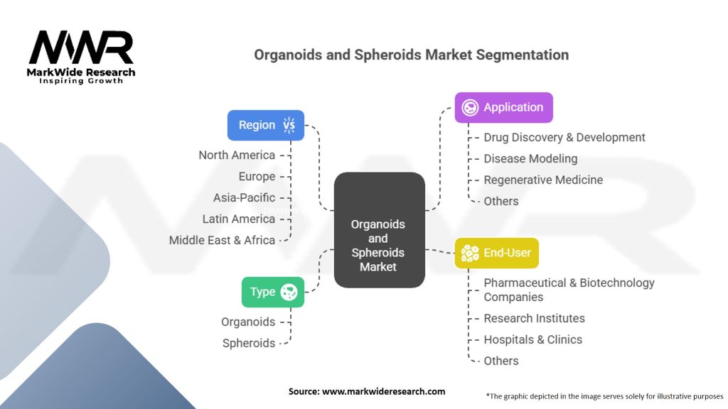 Organoids And Spheroids Market Segmentation