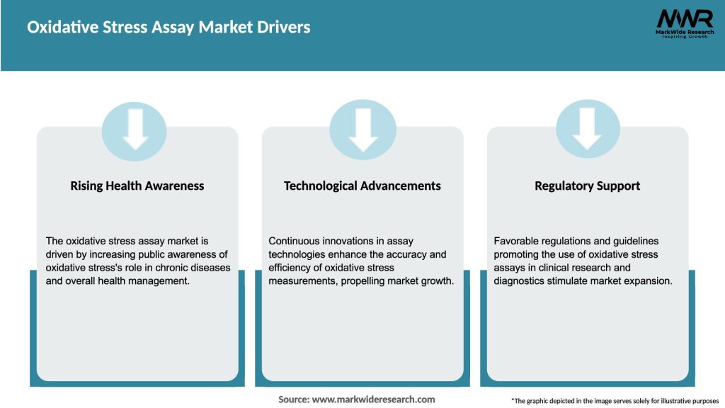 Oxidative Stress Assay Market Drivers
