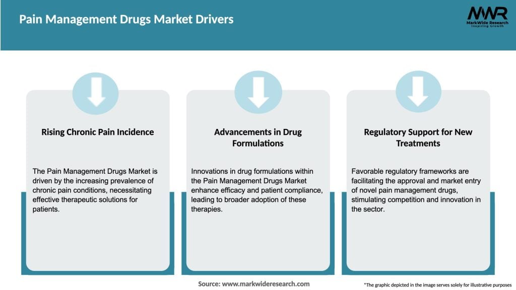 Pain Management Drugs Market Drivers
