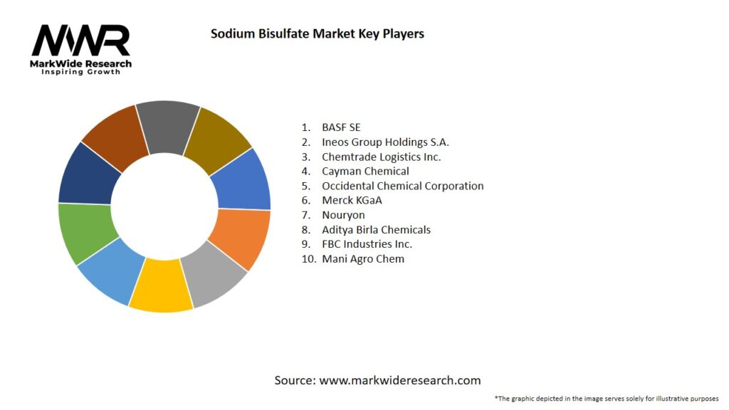 Sodium Bisulfate Market