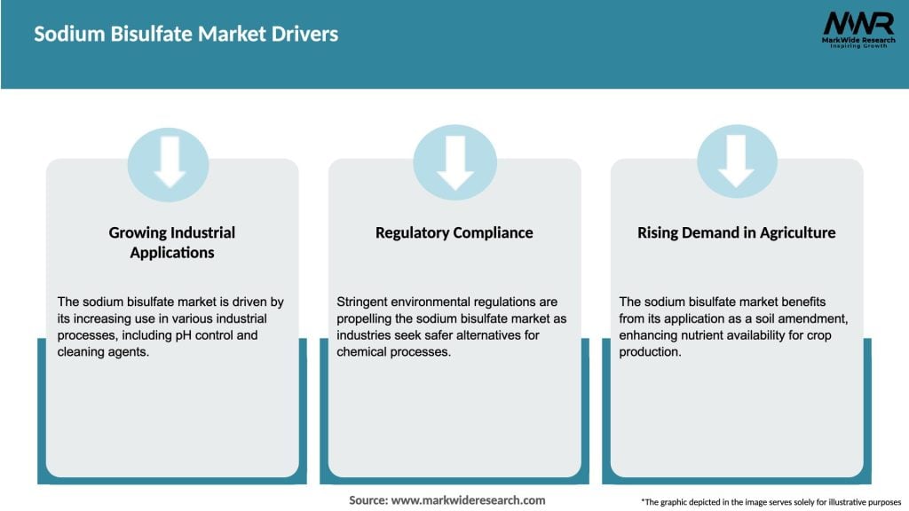 Sodium Bisulfate Market Drivers