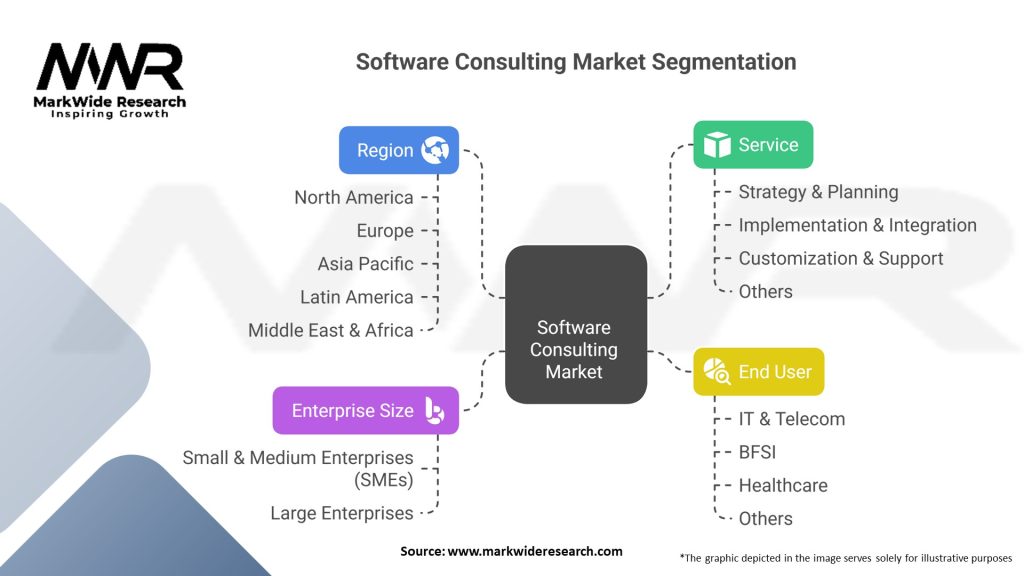 Software Consulting Market Segmentation