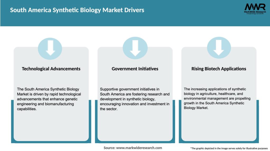 South America Synthetic Biology Market Drivers