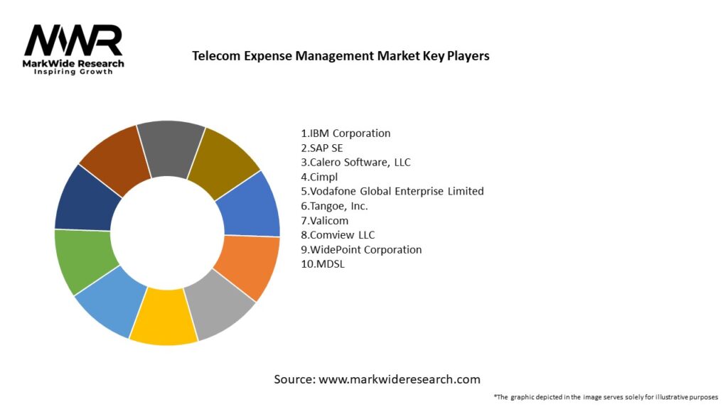 Telecom Expense Management Market Key Players