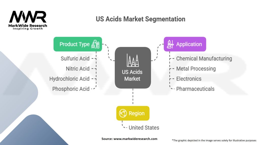 US Acids Market Segmentation