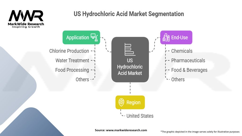 US Hydrochloric Acid Market Segmentation